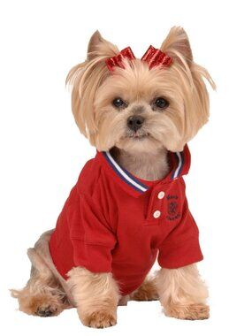 Red Polo Shirt